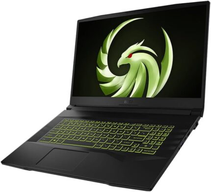 MSI Alpha 17 C7VF-044FR : AMD Ryzen 9 7945HX - ALTACADO